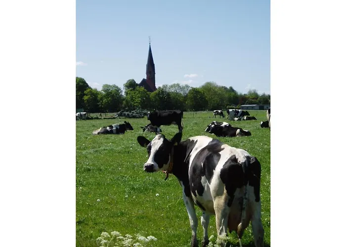 Ferienwohnung Hein Am Nordseedeich